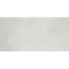 Futur gris argenté